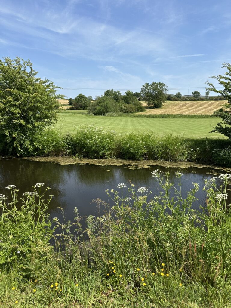 A sunny day at Douglas Valley Golf Club, looking out over the pond, you can see stripes in the grass where it has been cut and Winter Hill in the background