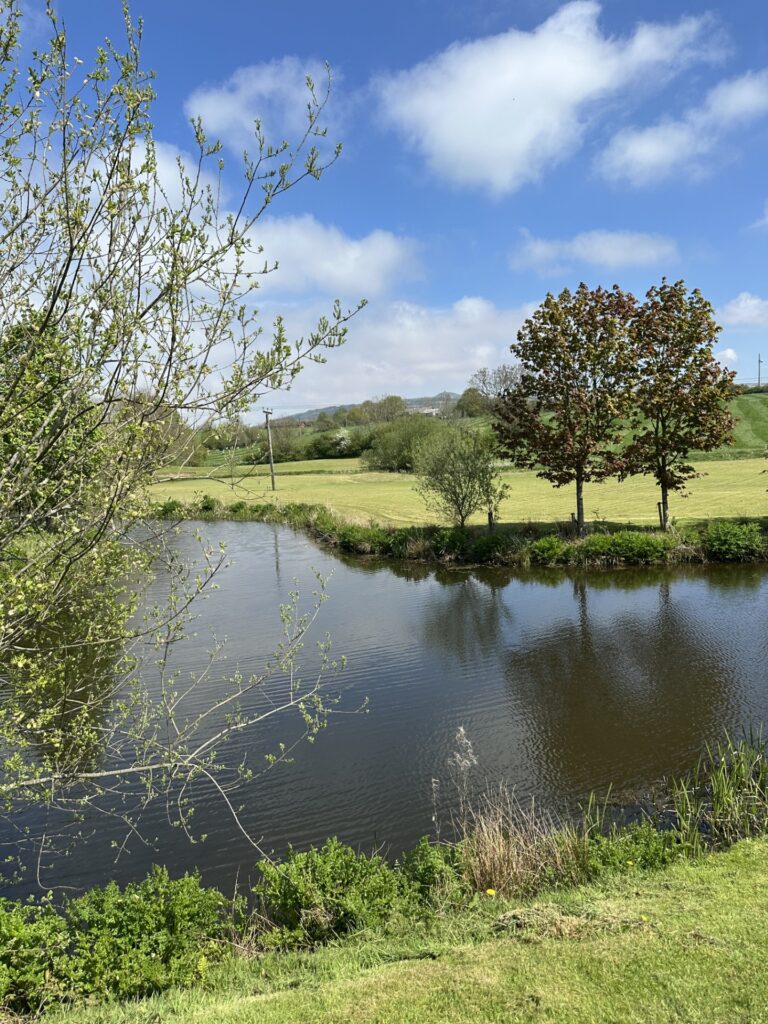 Looking over the water at Douglas Valley Golf Club, freshly cut grass and Rivington Pike in the background